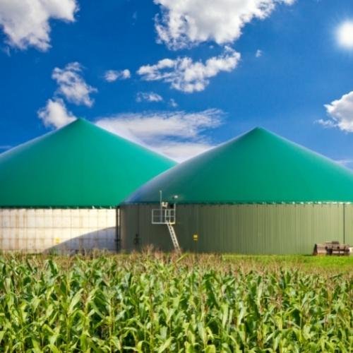 Biogas